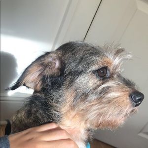 Meet your Posher, Melanie